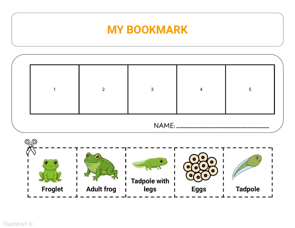 My Bookmark sequencing: students cut out five frog stage cards and paste them in order from 1 to 5