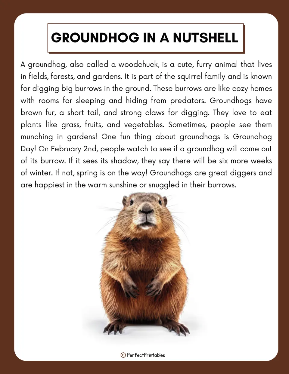 Introductory groundhog reading covers habitats, burrows, physical features, food, and Groundhog Day traditions.