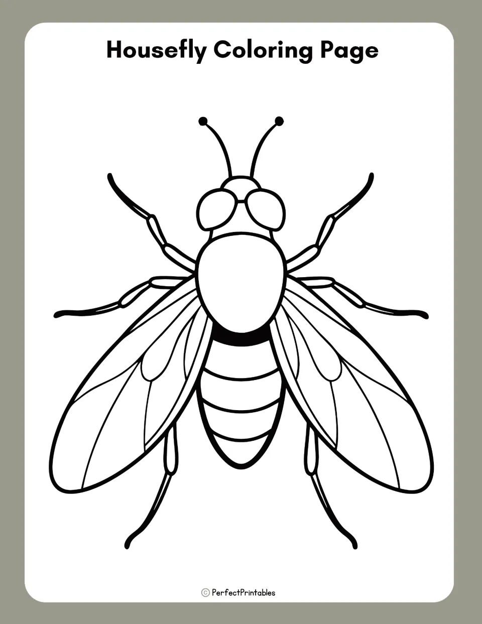 Housefly Coloring Page: a large outline drawing of a fly seen from above with eyes, antennae, wings, legs and body