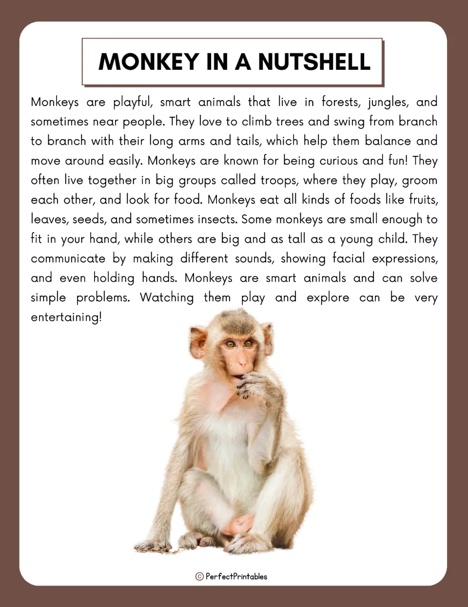 Monkey overview reading covering habitats, climbing, troop life, diet, communication, and problem solving