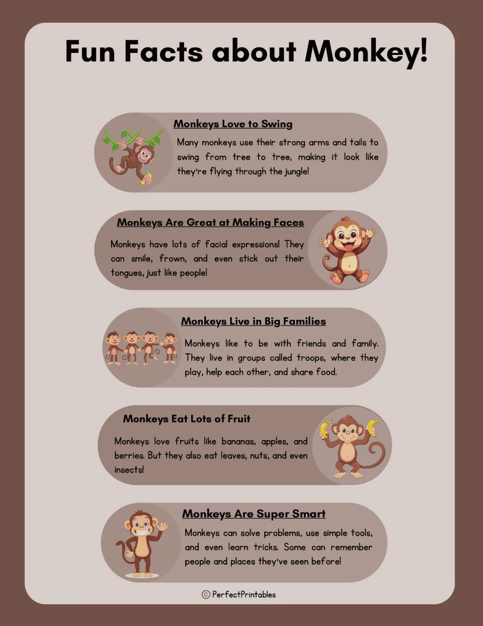 Monkey facts page covering swinging, facial expressions, living in troops, eating fruit, and intelligence