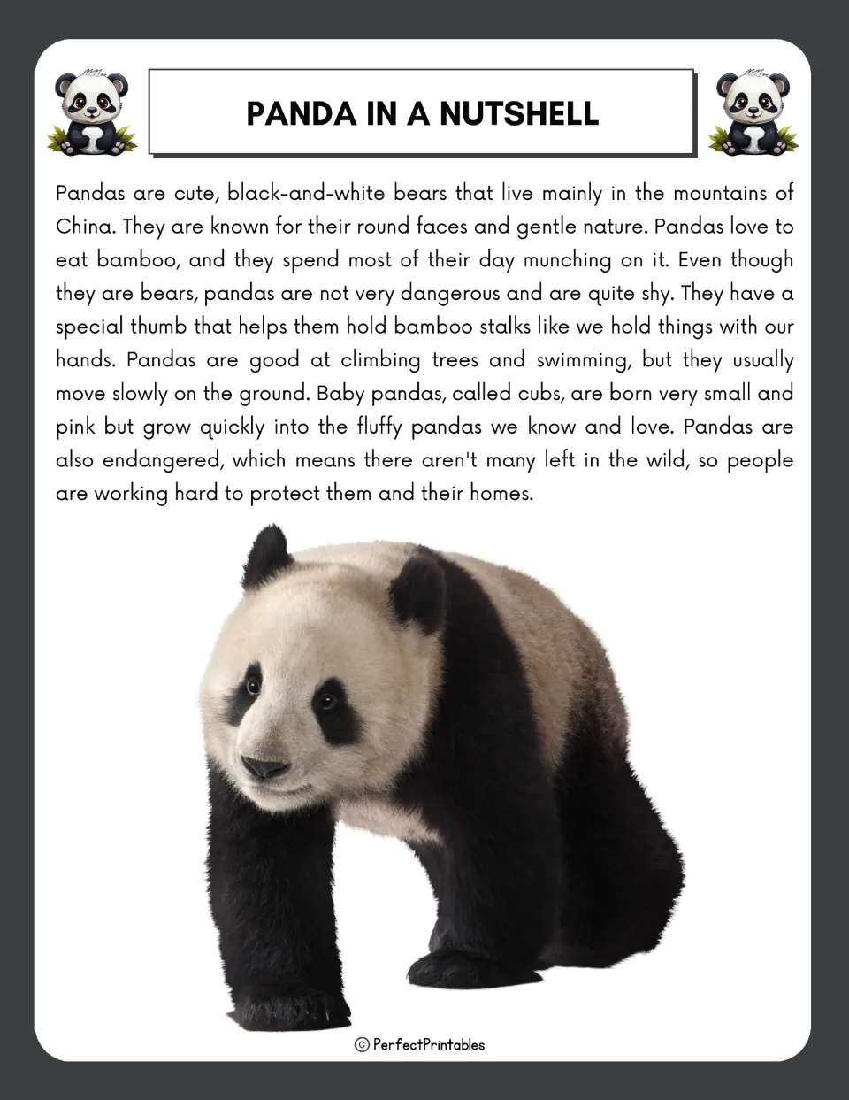 Panda in a Nutshell reading passage: pandas' bamboo diet, special thumb, climbing, tiny pink cubs and endangered status