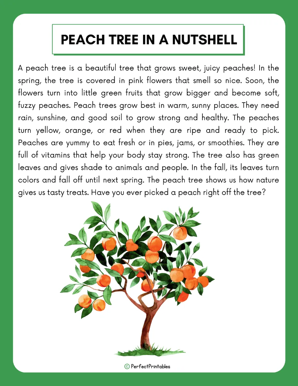 Introductory peach tree reading covers pink flowers, growing fruit, tree needs, peach uses, and fall leaves.