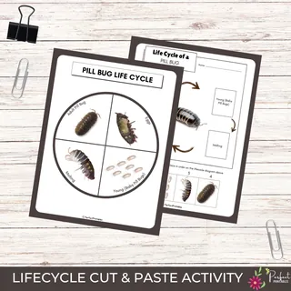 Pill Bug Life Cycle Worksheet – Roly Poly Unit – cover