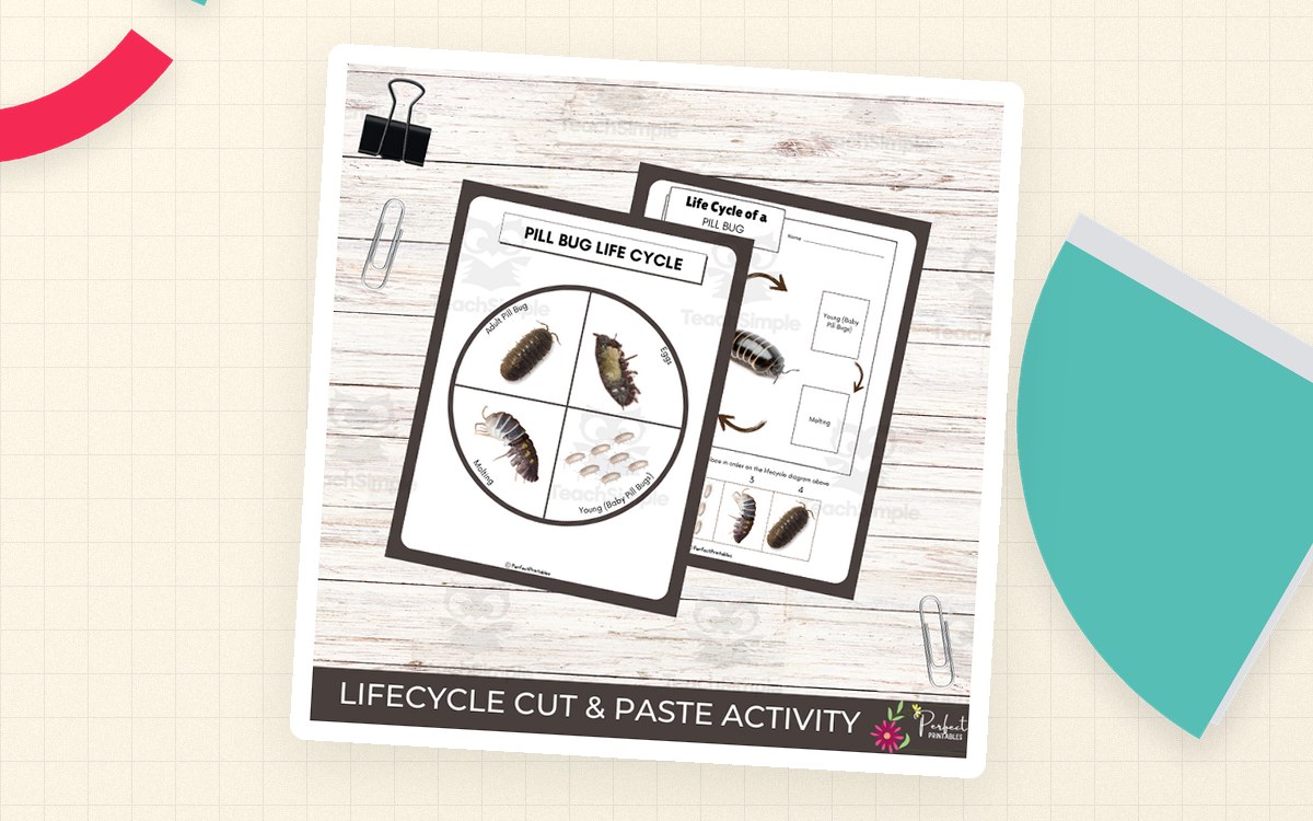 Pill Bug Life Cycle Worksheet – Roly Poly Unit preview: Pill bug biology reading