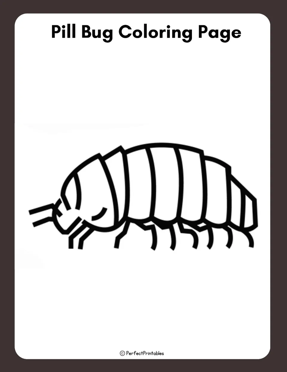 Pill bug coloring page: a large outline drawing of a segmented pill bug with legs and antennae for students to color