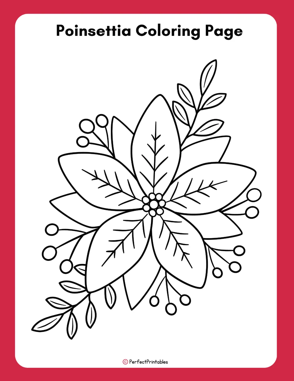Poinsettia coloring page in the science pack features a large plant design with pointed bracts and leafy sprigs.