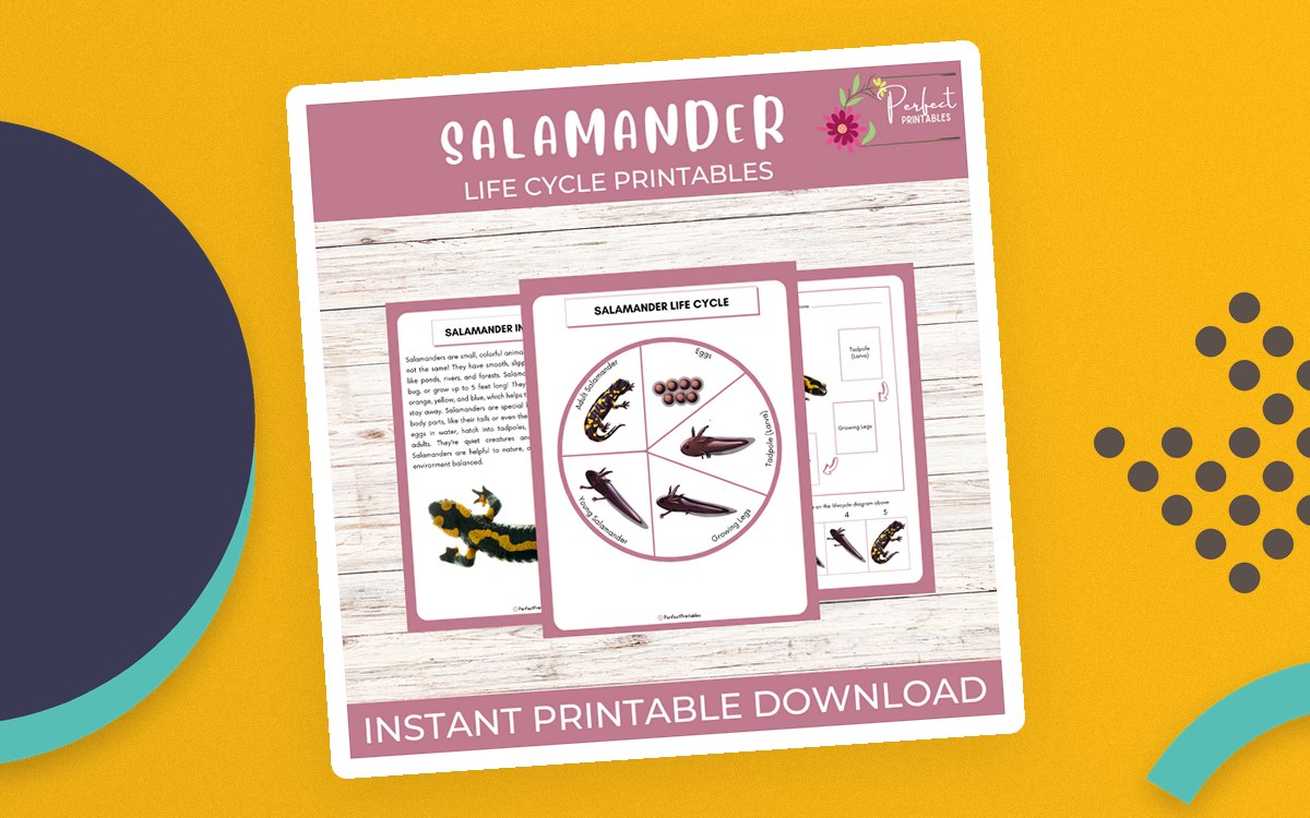Life Cycle of a Salamander Worksheet- Amphibian Science Unit Study preview: Salamander fact sheet
