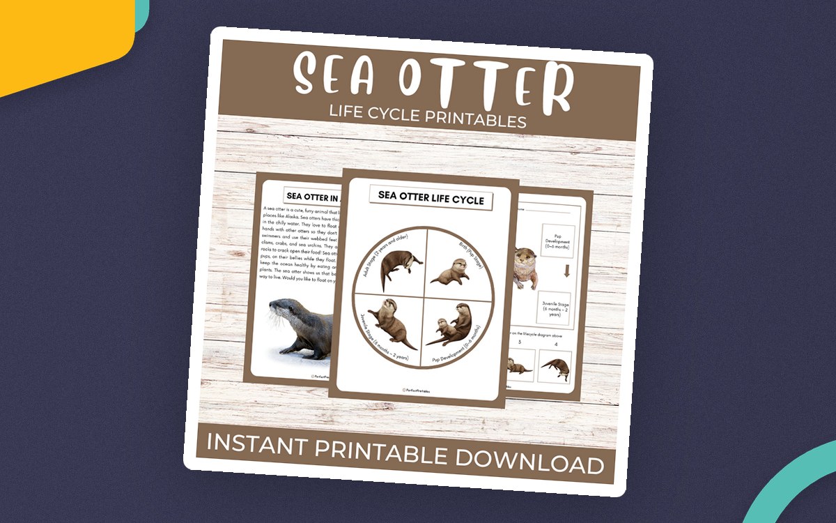 Sea Otter Life Cycle – Ocean Animal Unit Study preview: A Sea Otter in a Nutshell fact page