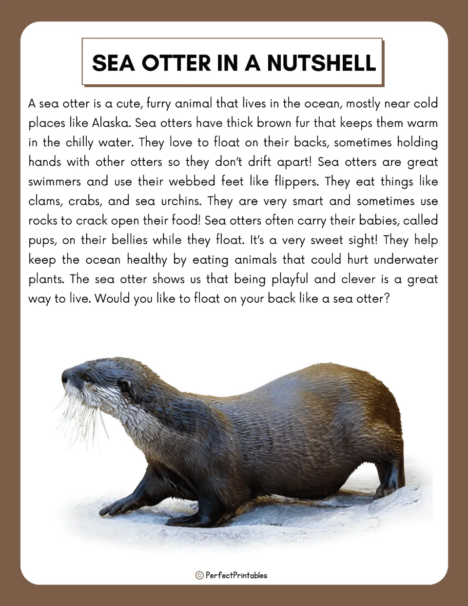 Sea Otter in a Nutshell reading passage on fur, floating, diet of clams and urchins, tool use and carrying pups