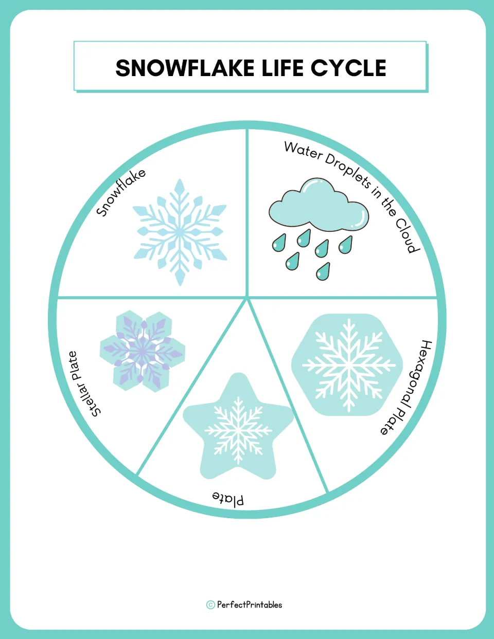 Life cycle wheel: five stages of snowflake growth, from water droplets in a cloud through hexagonal and stellar plates