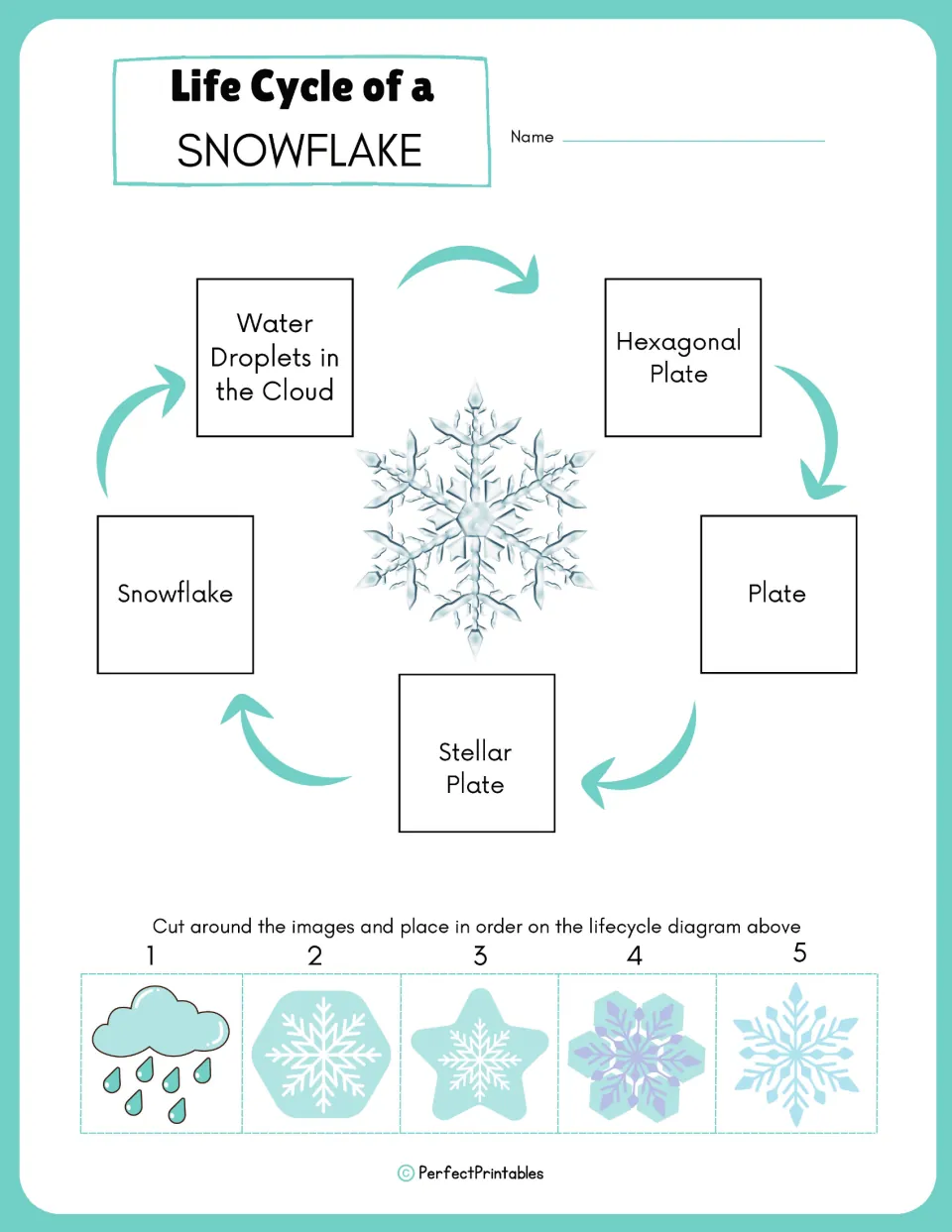 Life cycle sequencing: students cut out 5 stage pictures, from rain cloud to snowflake, and place them on the diagram