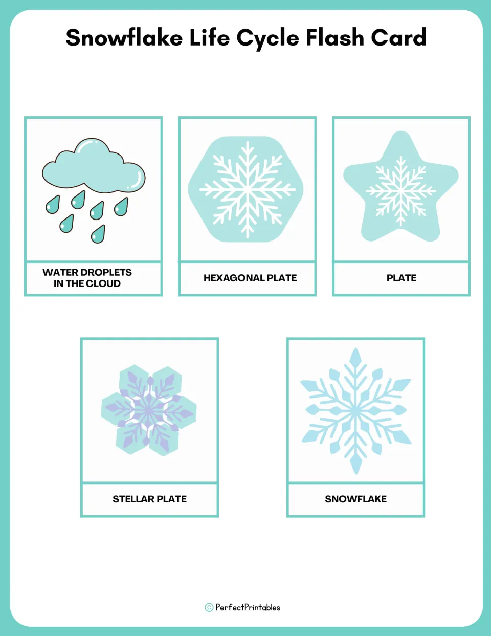 Snowflake life cycle flash cards: five picture cards, each labeled with one stage from water droplets to snowflake