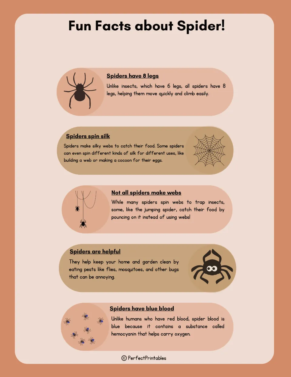 Fun facts about spiders: 8 legs, spinning silk, jumping spiders that pounce, eating pests and blue blood from hemocyanin