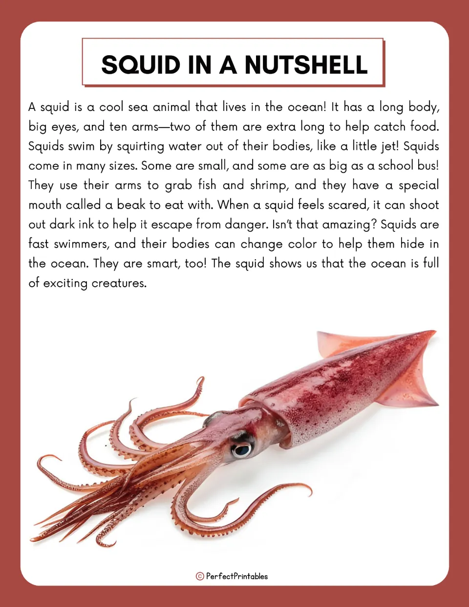 Squid in a Nutshell reading passage: students read about squid arms, jet swimming, beak, ink and color change, with a photo