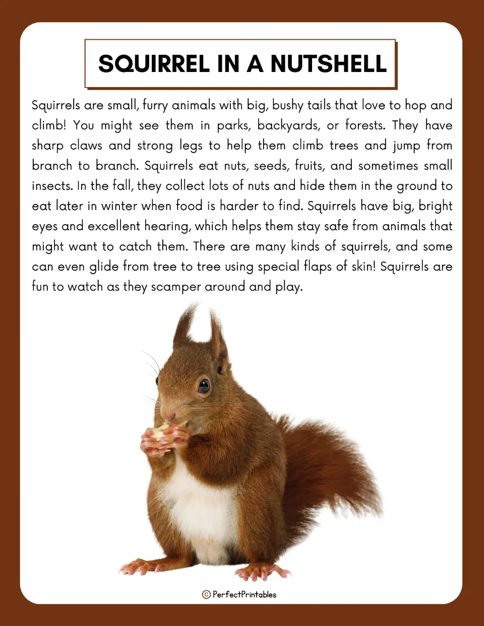 Squirrel overview reading introduces habitats, food, climbing, nut storage, senses, and gliding squirrels.