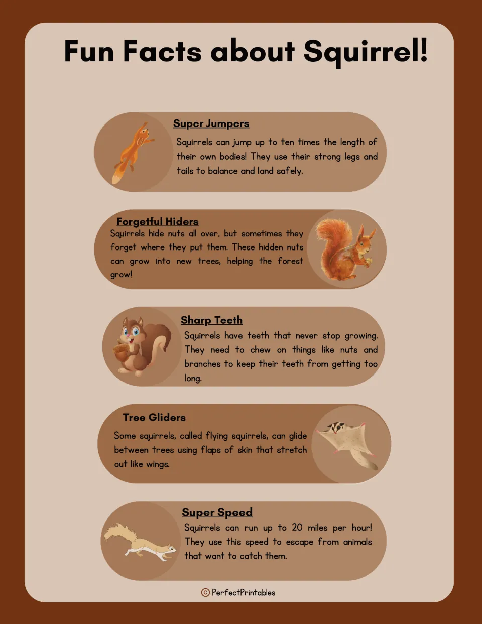 Squirrel fun facts page covers jumping, forgotten nuts growing into trees, growing teeth, gliding, and speed.