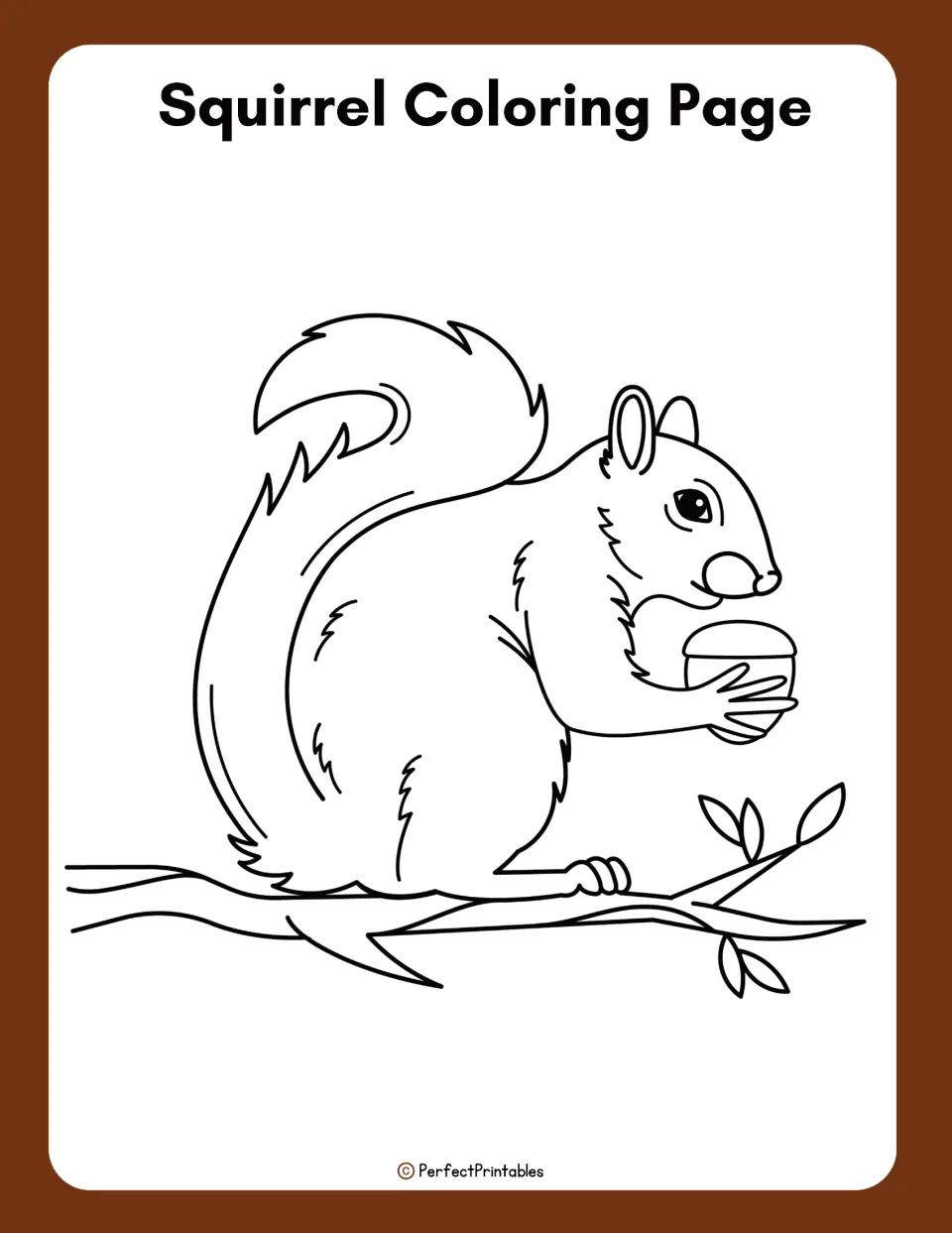 Squirrel coloring page completes the life cycle packet with an outline of a squirrel holding an acorn on a branch.