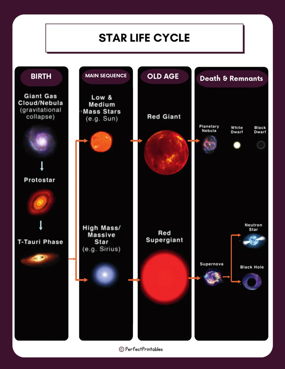 Star life cycle chart: birth, main sequence, old age and death, from nebula to white dwarf, neutron star or black hole
