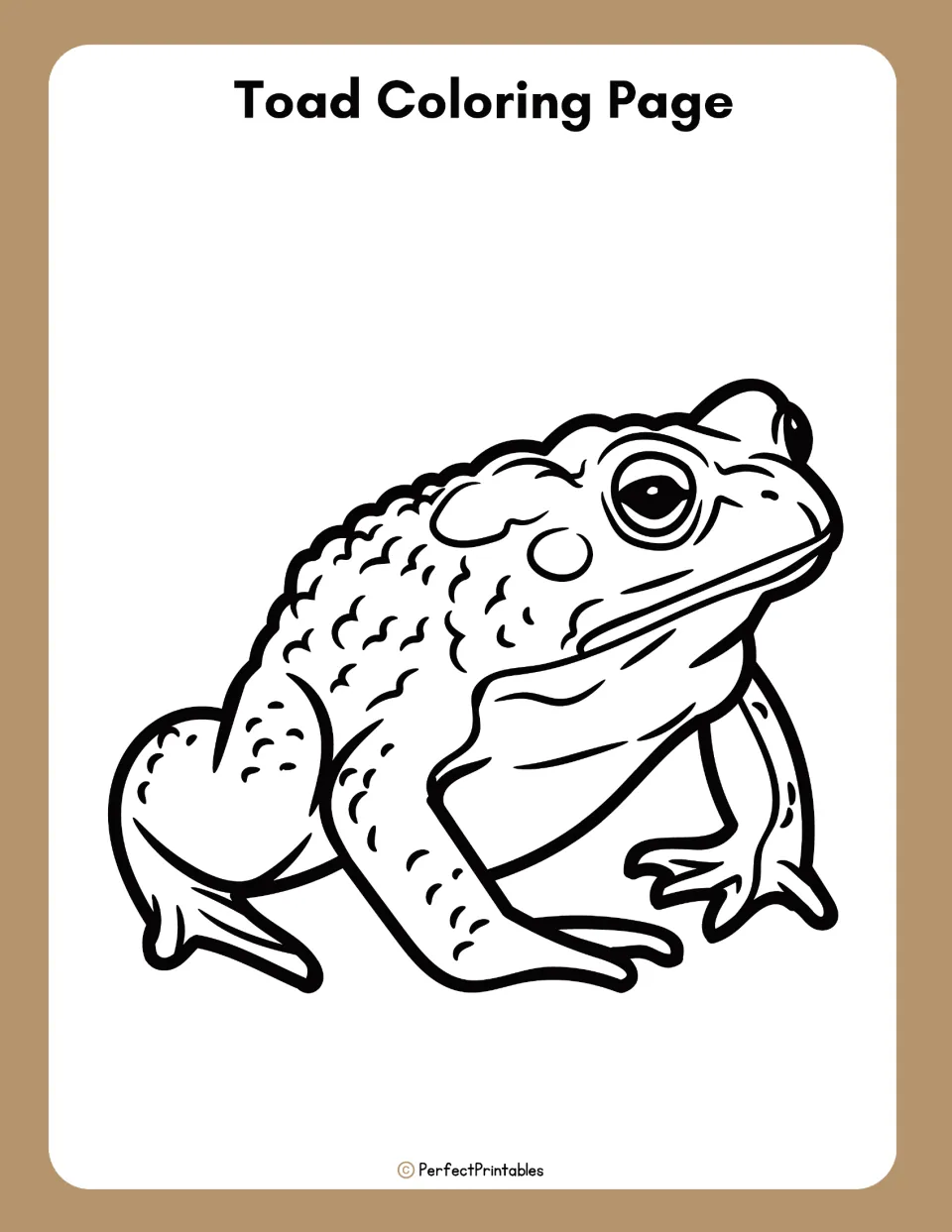 Toad coloring page: a black-and-white line drawing of a sitting toad with bumpy skin and bulging eyes to color in