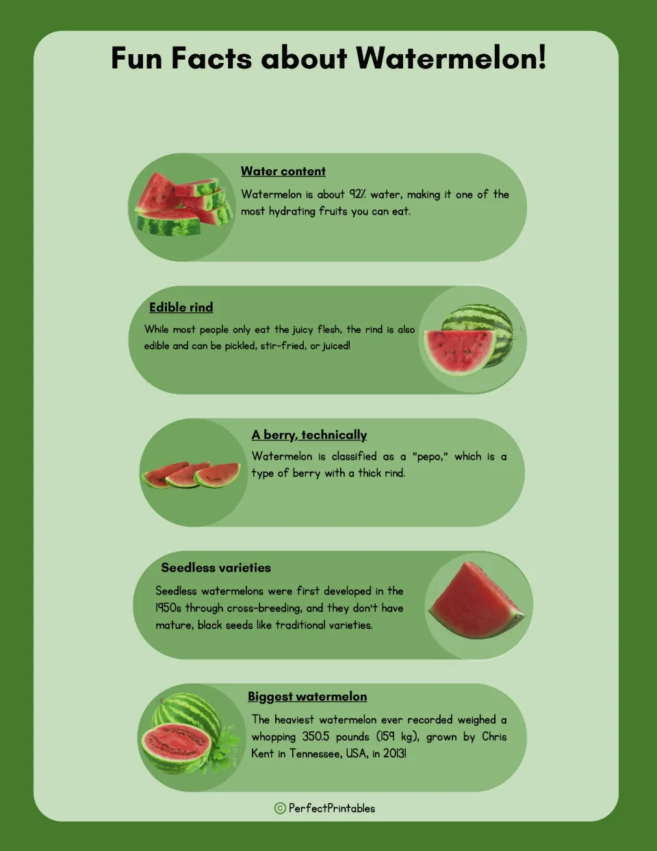 Fun facts about watermelon: 92% water, edible rind, a berry called a pepo, seedless types and the 350.5-pound record melon