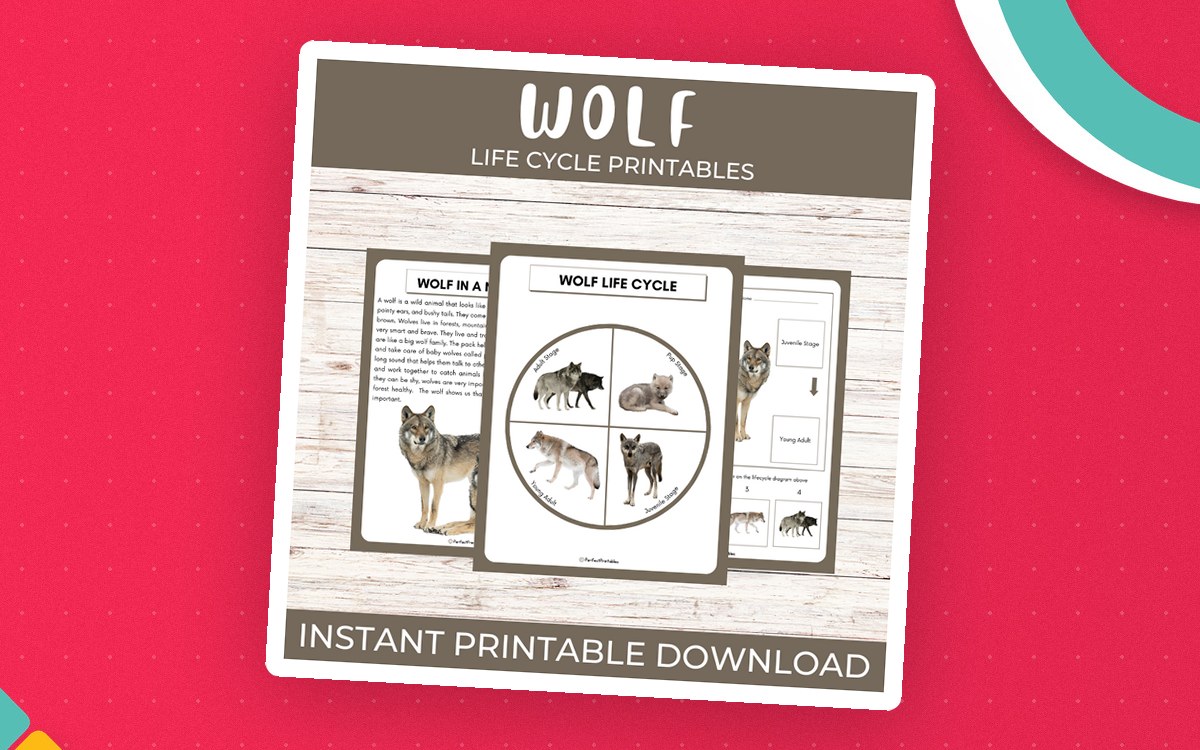 Life Cycle of a Wolf – Animal Science Unit preview: An informational Wolf in a Nutshell page