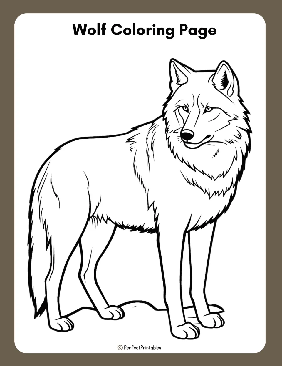 Wolf coloring page: a line drawing of a standing wolf for students to color, showing its thick fur, pointed ears and tail