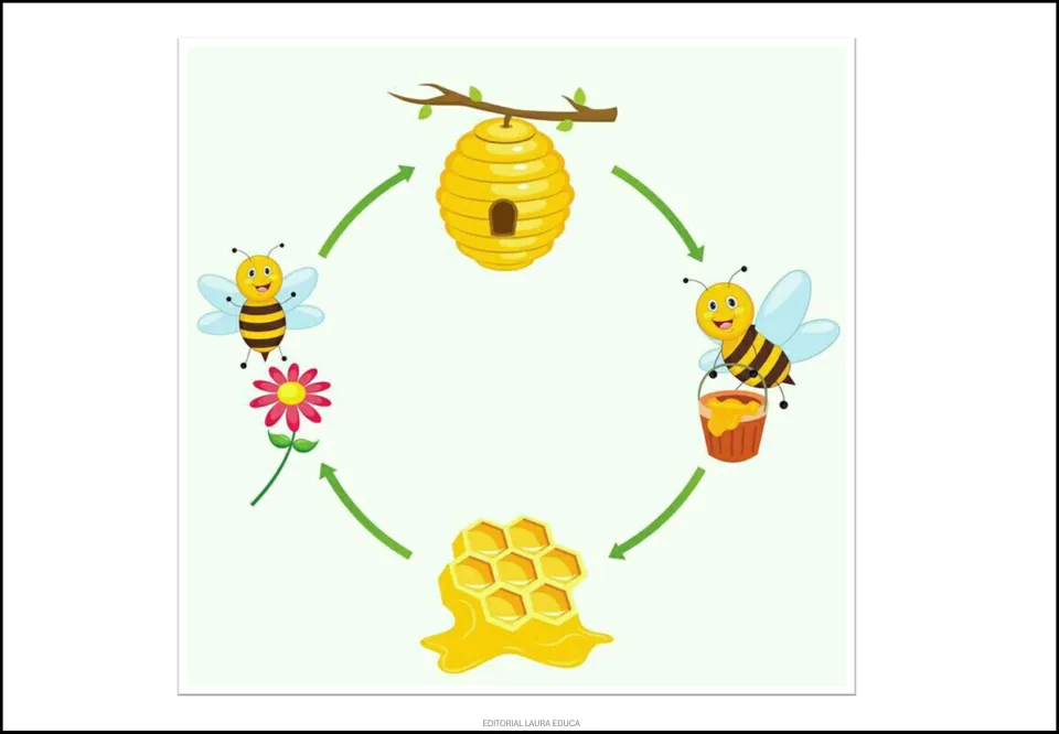 Bee-and-honey poster showing a bee near a flower, a hive, a bee carrying honey, and honeycomb linked by arrows