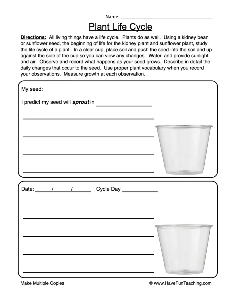 Plant Life Cycle: students grow a bean or sunflower seed in a clear cup, predict sprouting and log dated observations