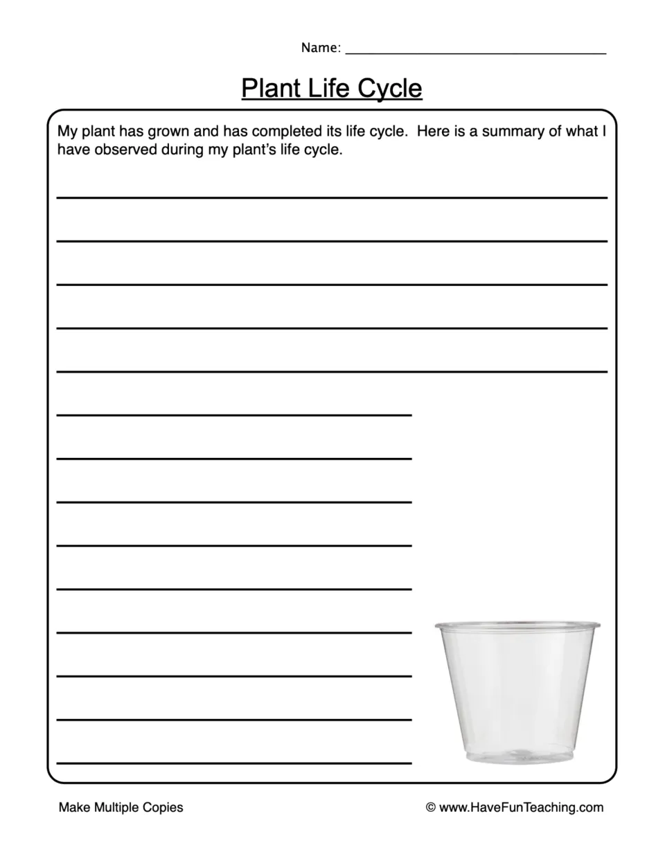 Plant Life Cycle summary: students write a recap of what they observed as their plant grew and completed its life cycle