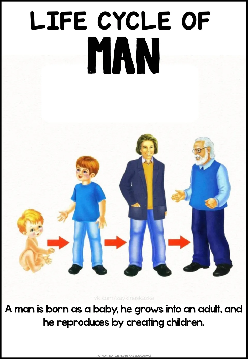 Human life cycle poster titled Man: a baby, a boy, a young adult and an older man with glasses, in a row joined by arrows