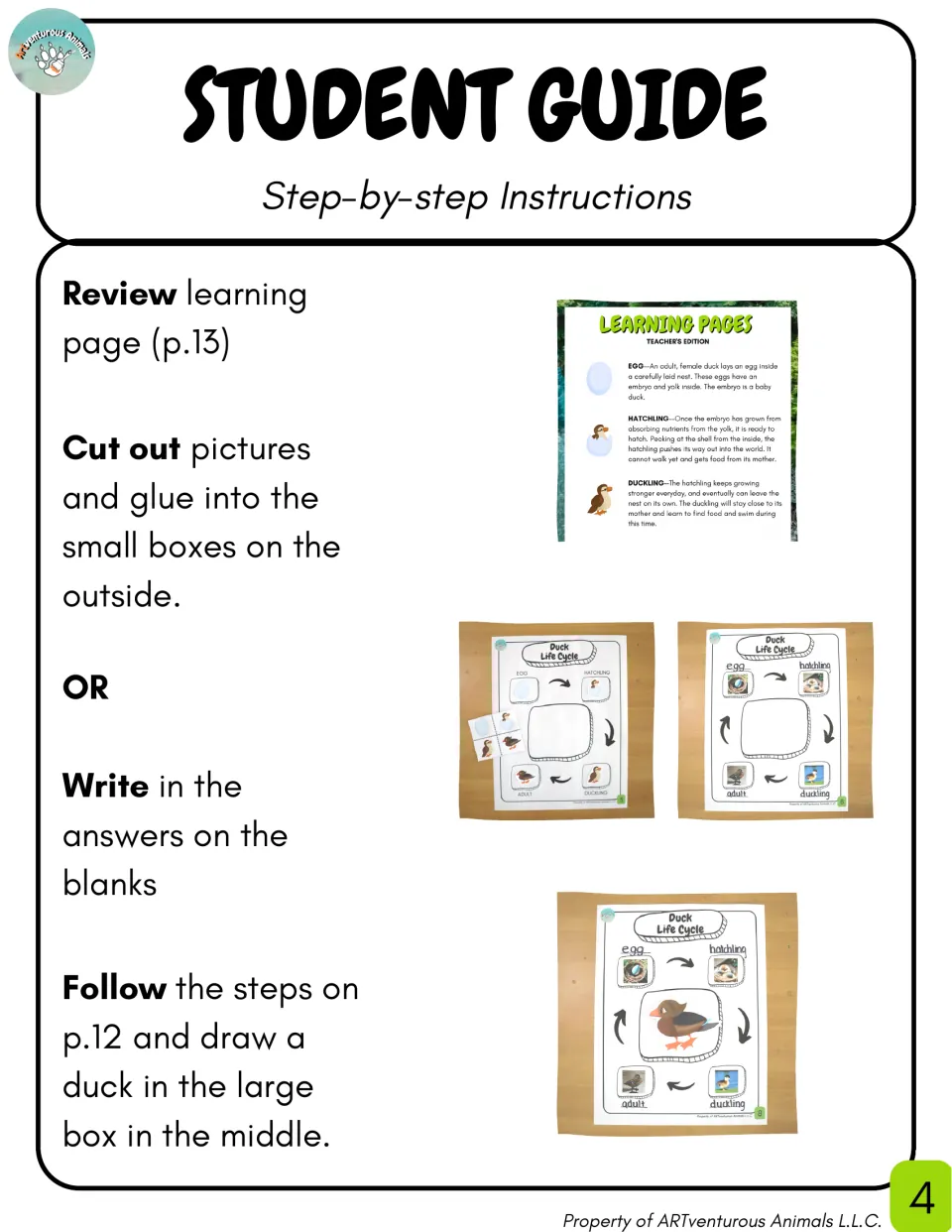 Student guide: review the learning page, glue pictures or write stage names on the cycle, then draw a duck