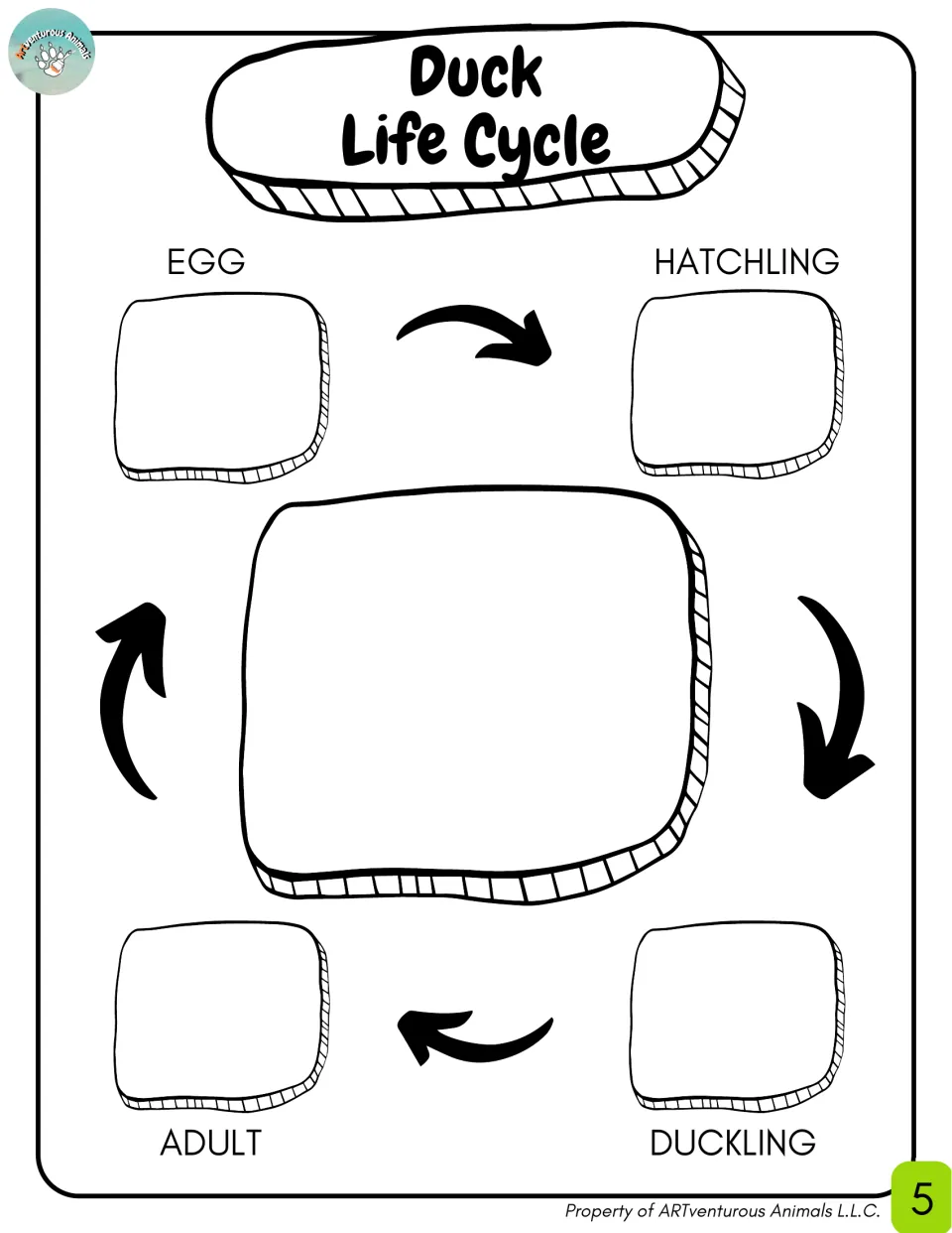 Duck life cycle diagram labeled egg, hatchling, duckling and adult; students glue a picture for each stage in order