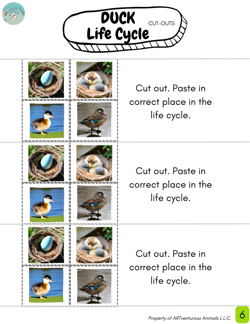 Duck life cycle photo cut-outs: three sets of egg, hatchling, duckling and adult pictures to cut and paste in order