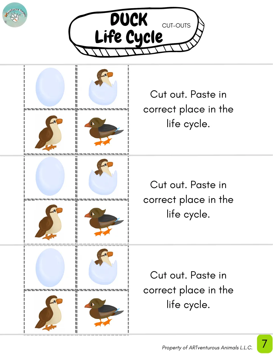Duck life cycle clip-art cut-outs: three sets of egg, hatching duck, duckling and adult drawings to paste in cycle order