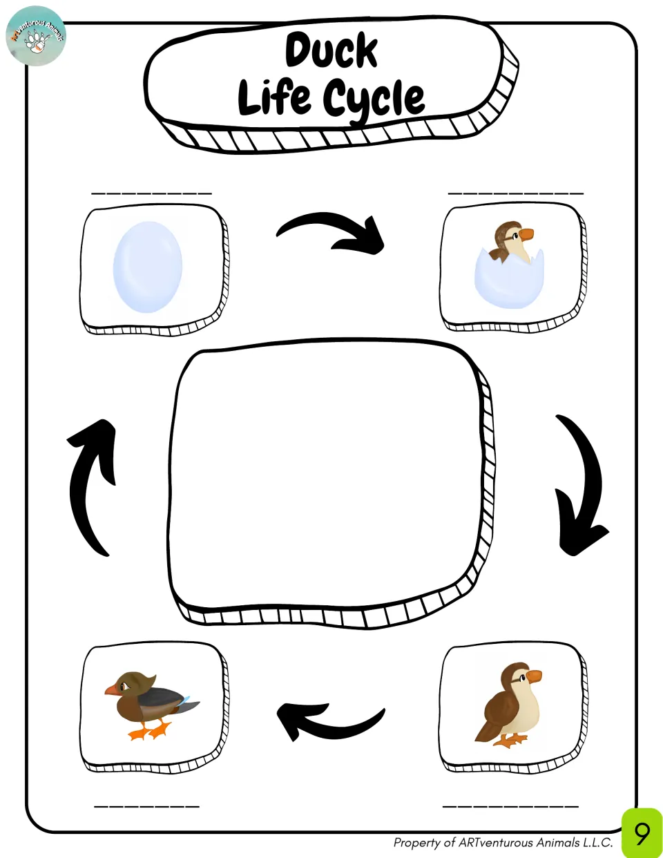 Duck life cycle with clip-art of an egg, hatching duck, duckling and adult; students label each stage on the blank lines
