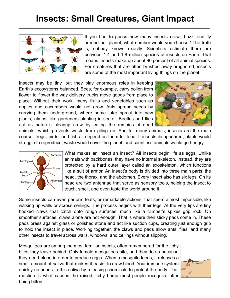 Insects: Small Creatures, Giant Impact passage with insect illustrations and a labeled ant diagram for students to read