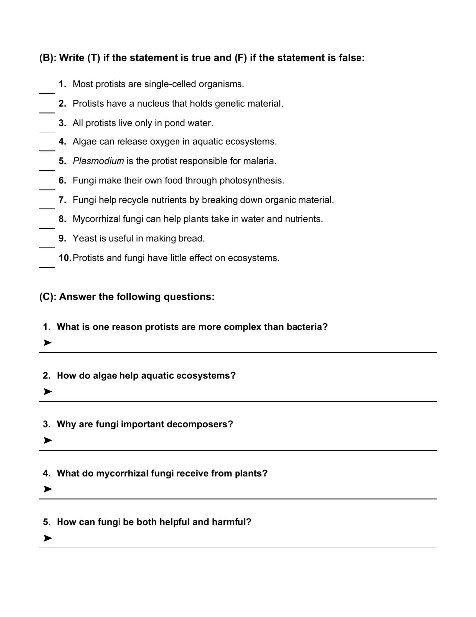 Ten true-or-false statements and five short-answer questions review protists, algae, and fungal roles