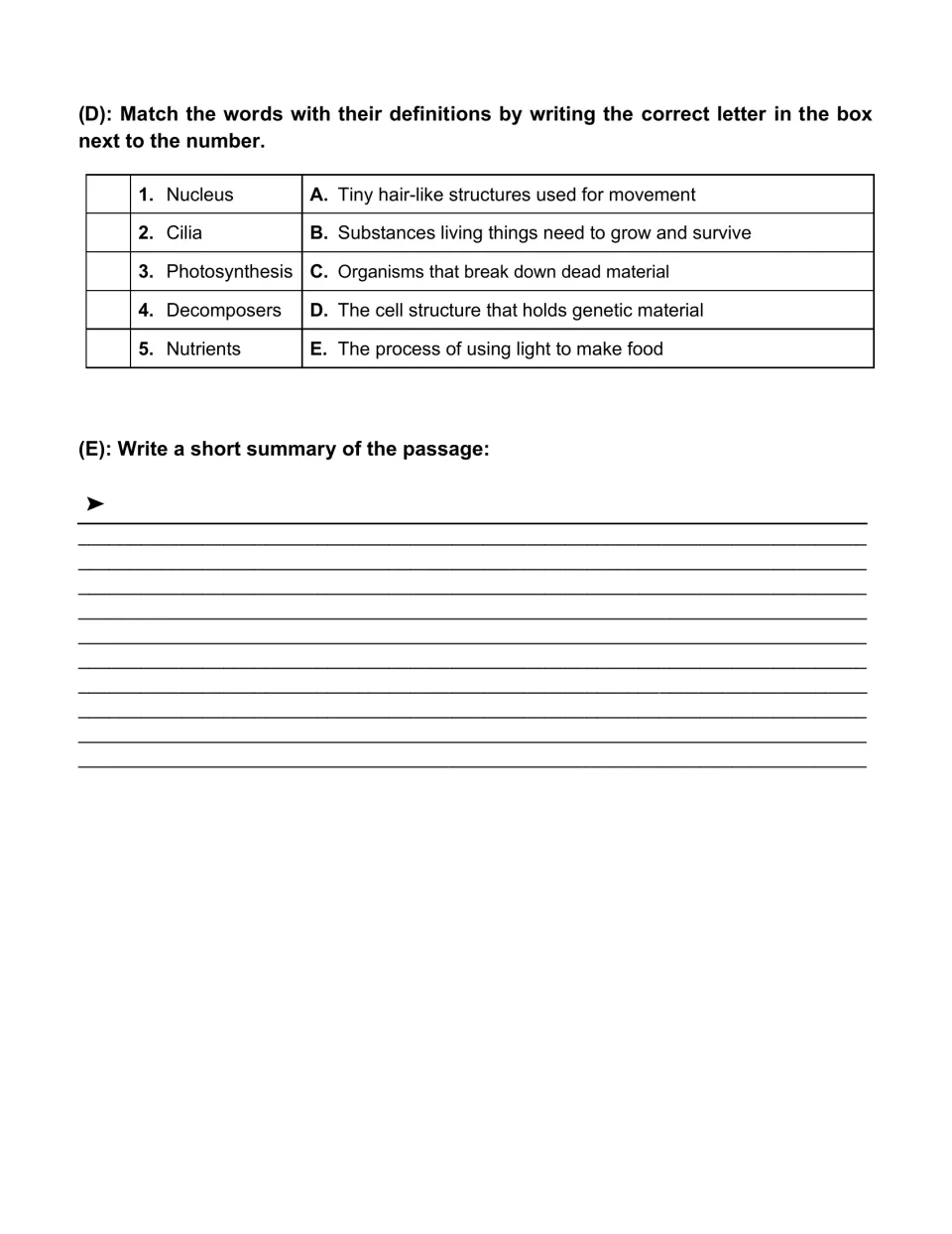 Vocabulary matching for nucleus, cilia, photosynthesis, decomposers, and nutrients, followed by a summary task