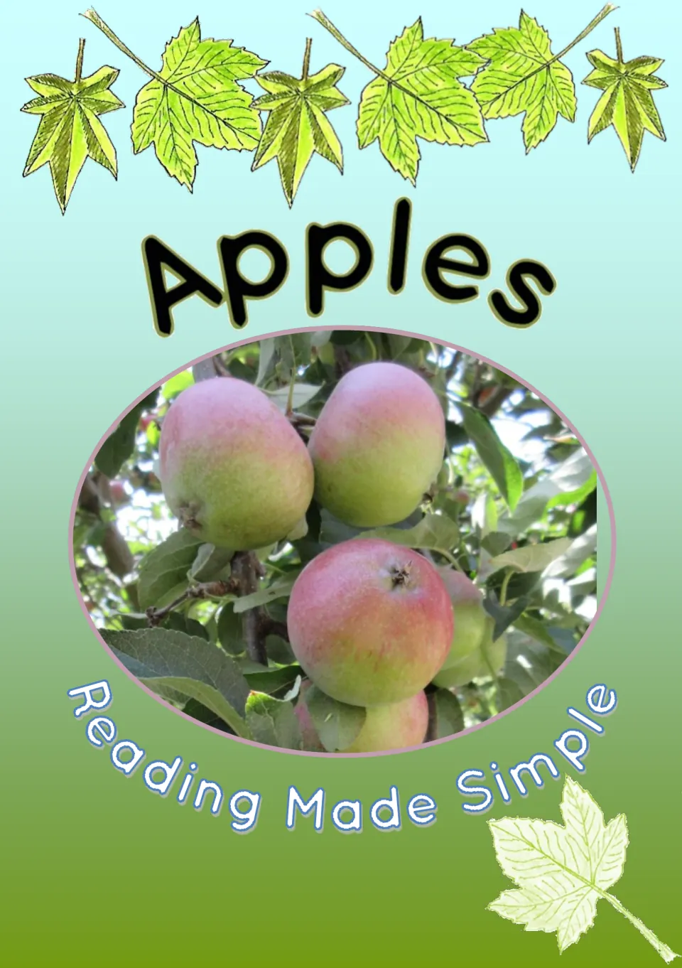 Cover of the apple tree life cycle reader, titled 'Apples,' with a photograph of apples growing on a tree