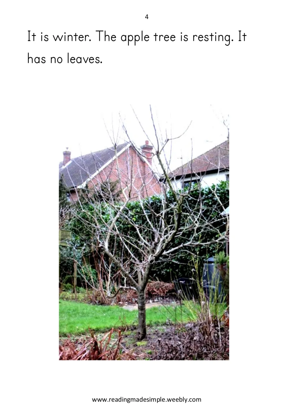 Reader page 4 introduces winter: the apple tree is resting and has no leaves, shown in a tree photograph