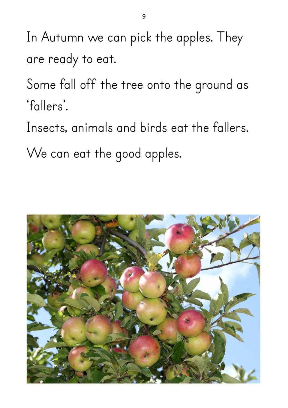 Reader page 9 describes picking ripe apples in fall and insects, animals, and birds eating fallen apples