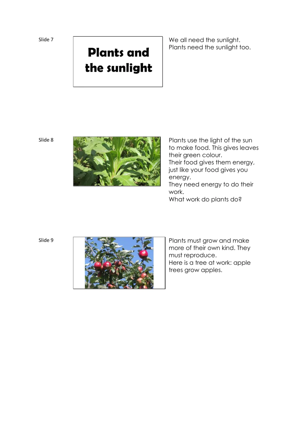 Narration notes for slides 7–9 explain how plants use sunlight to make food, grow, and reproduce.