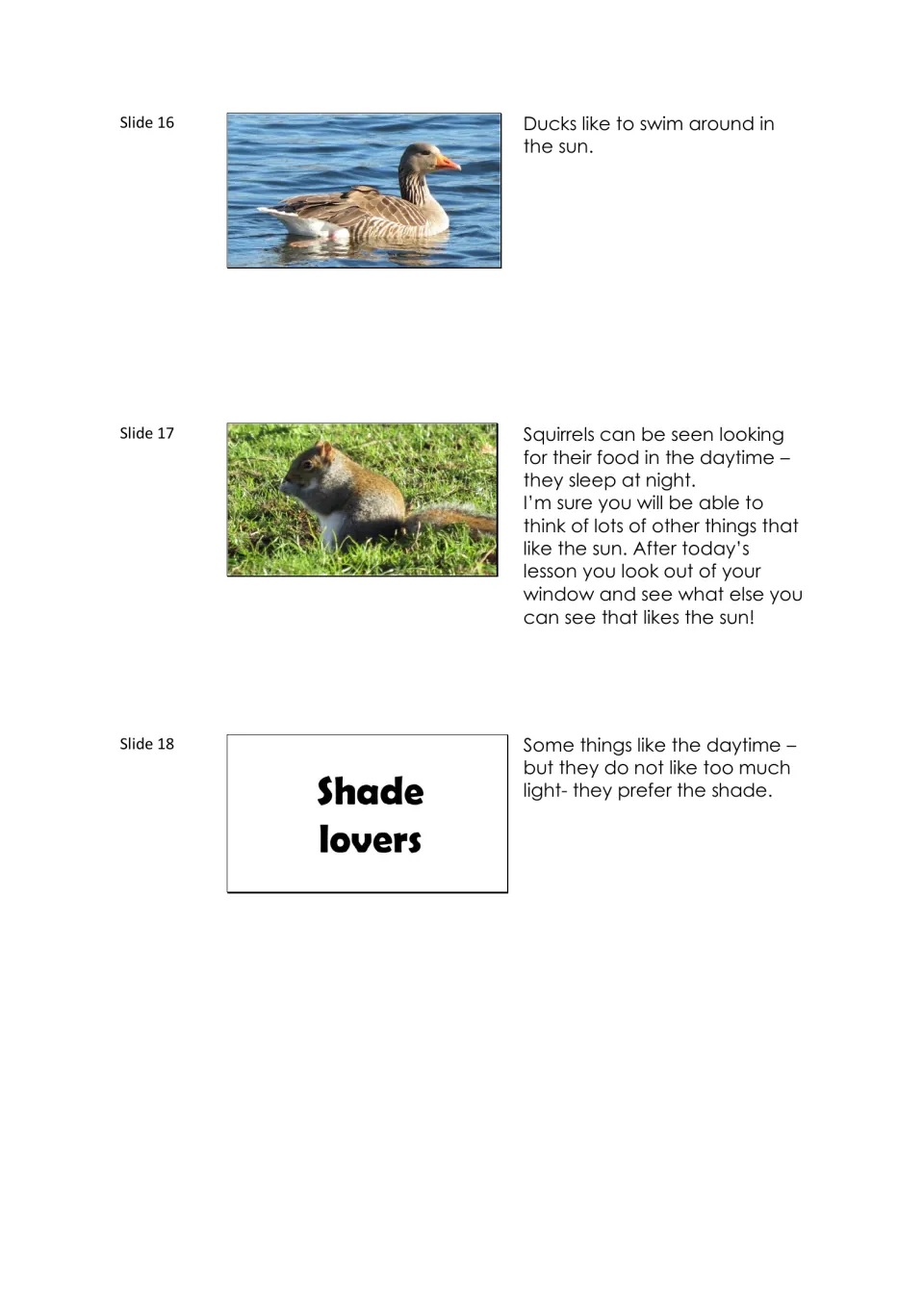 Narration notes for slides 16–18 describe swimming ducks and daytime squirrels, then introduce shade lovers.