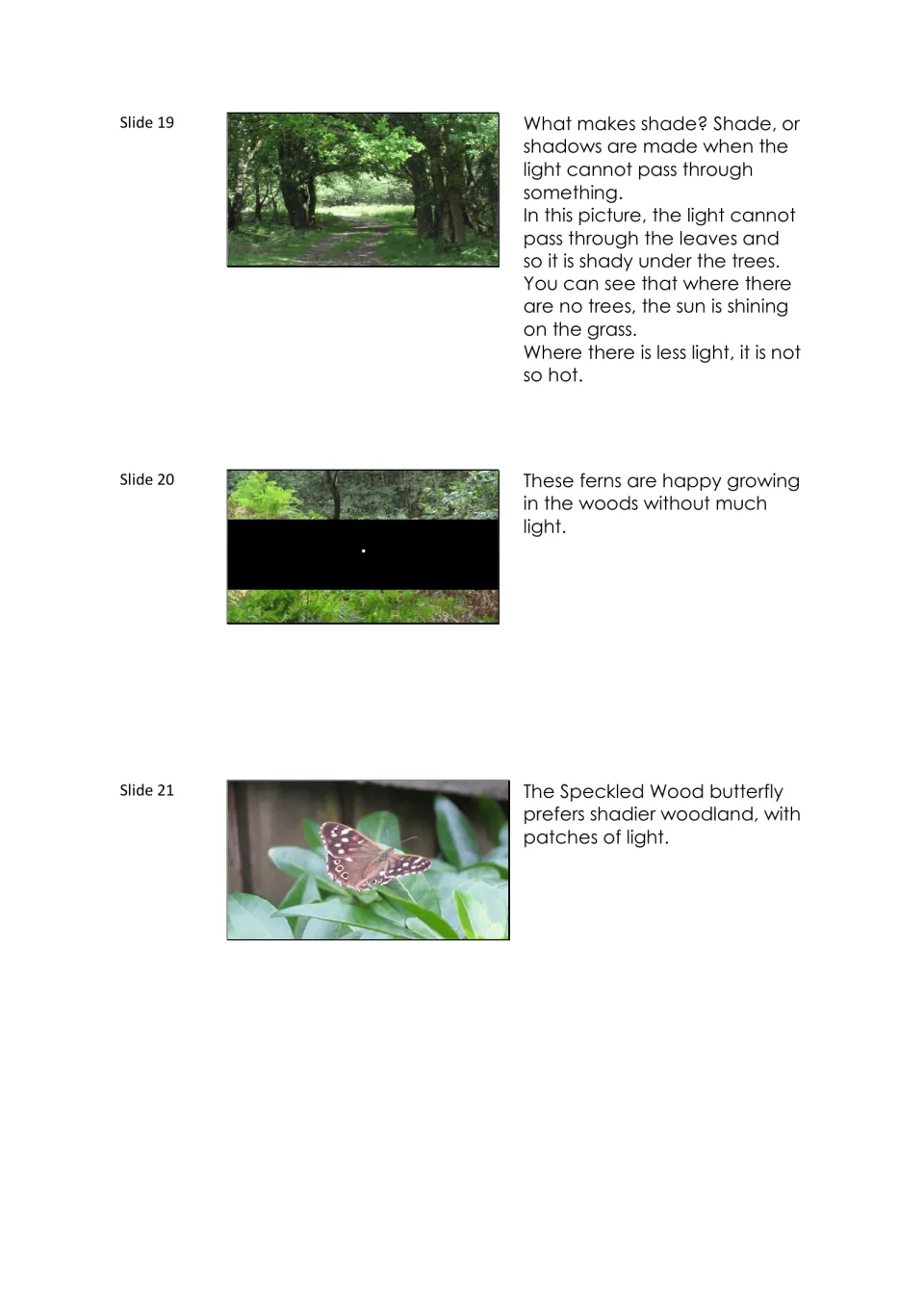 Narration notes for slides 19–21 explain shade and shadows, with ferns and a Speckled Wood butterfly.