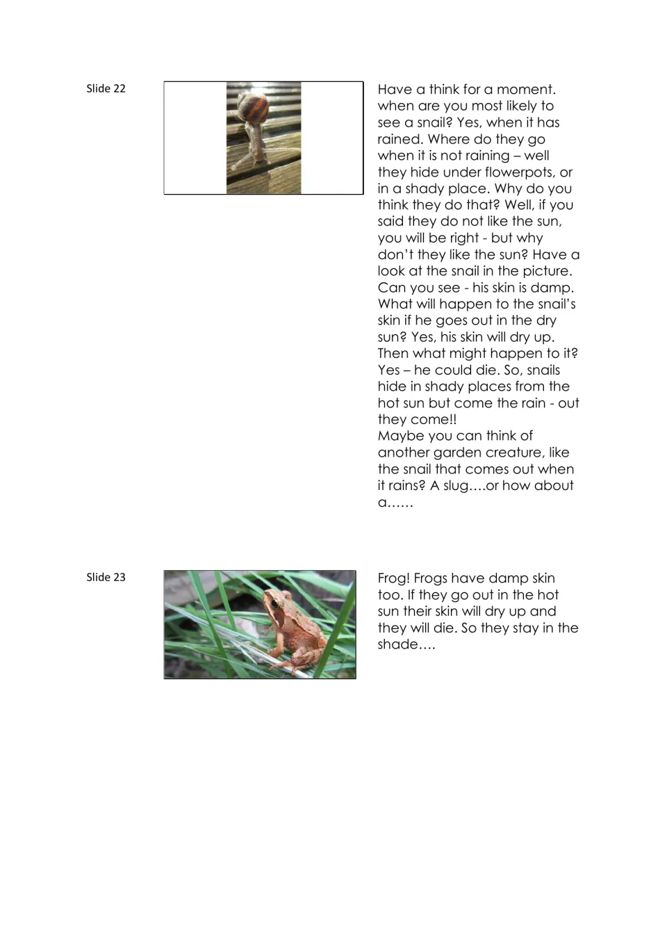 Narration notes for slides 22–23 explain why snails and frogs seek shade to keep their damp skin from drying.
