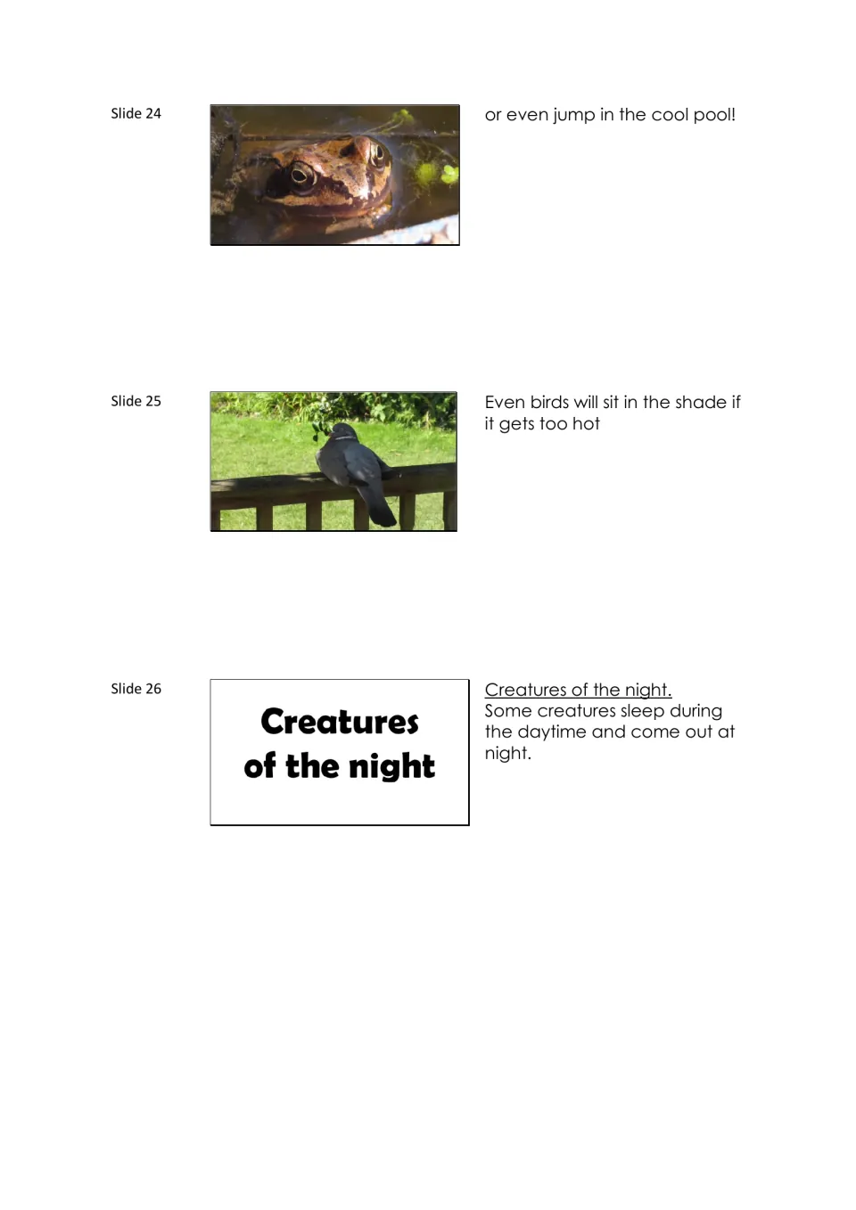 Narration notes for slides 24–26 show a frog cooling in water and a bird in shade, then introduce night animals.