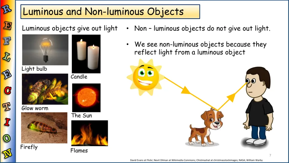 Luminous and non-luminous objects lesson showing light sources and sunlight reflecting from a dog to an eye