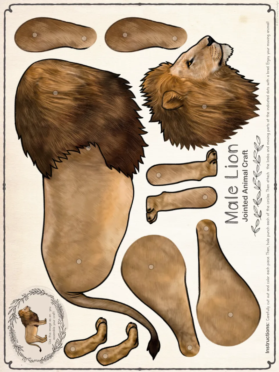 Male lion cut-out pieces in full color: mane, head, body, tail, legs and paws, each with brad dots for assembling