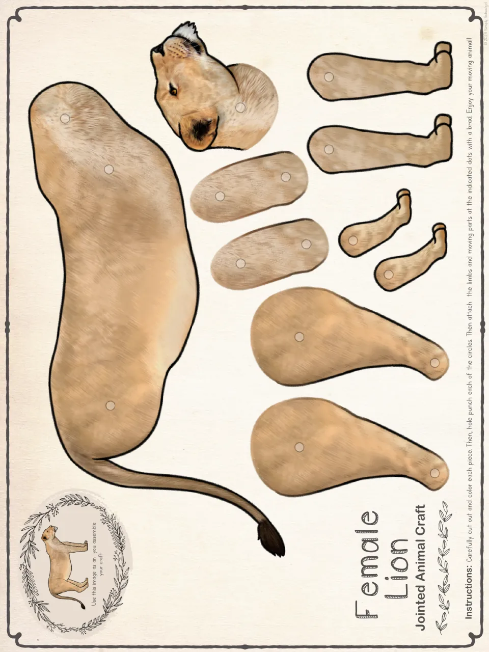 Female lion cut-out pieces in full color: head, body, tail, four legs and paws, each marked with circles for brads